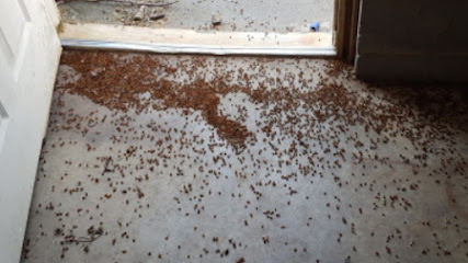 A Bugman Termite & Pest Control