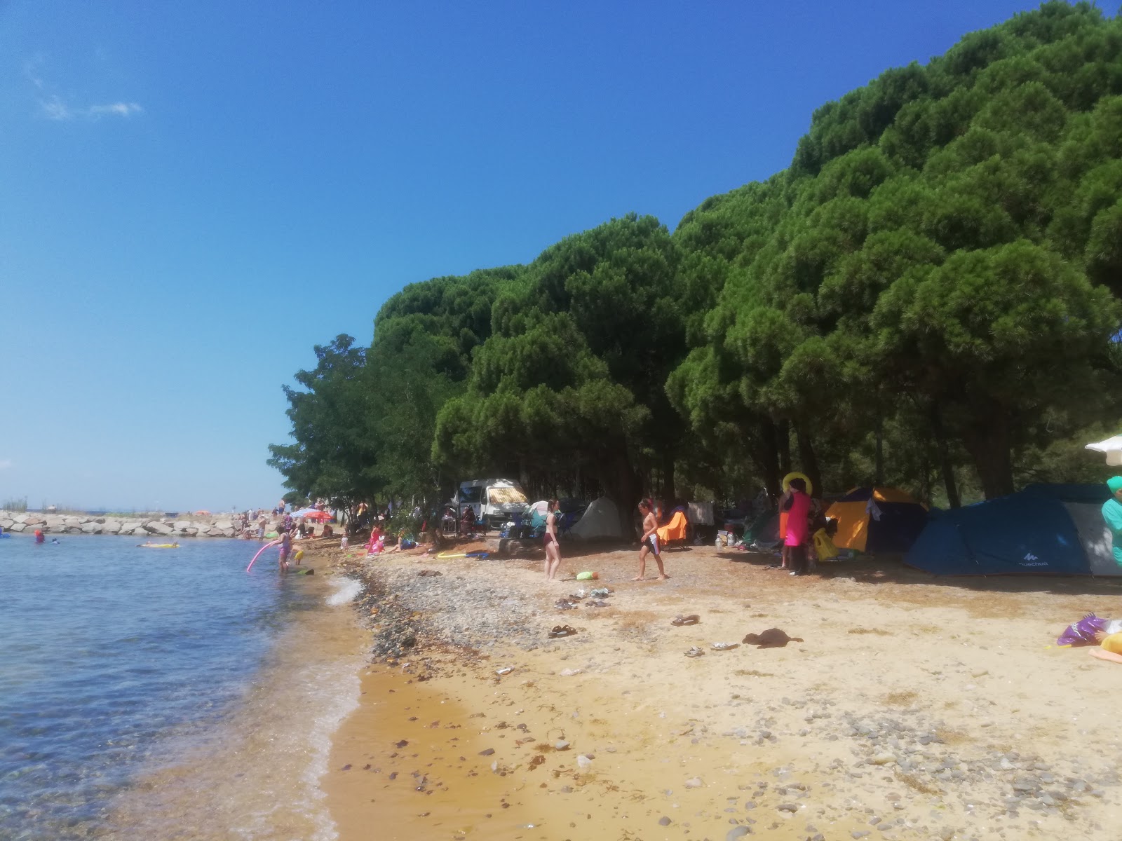 Nur Bayanlar Plajı'in fotoğrafı - tatil için iyi evcil hayvan dostu nokta