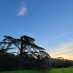 Photo n° 1 de l'avis de Leonardo.i fait le 10/11/2022 à 20:01 pour Le Parc du Château de Chantore à Bacilly