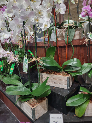 Grocery Store «The Fresh Market», reviews and photos, 1378 Hendersonville Rd H, Asheville, NC 28803, USA