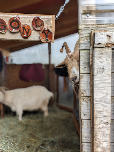 Farm «The Belmont Goats», reviews and photos, 9330 SE Harold St, Portland, OR 97266, USA