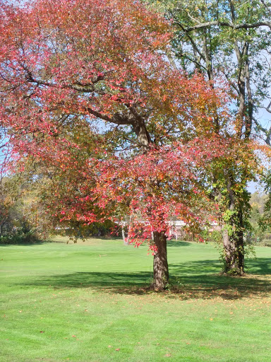 Golf Course «Christopher Morley Park Golf», reviews and photos, 500 Searingtown Rd, Roslyn, NY 11576, USA