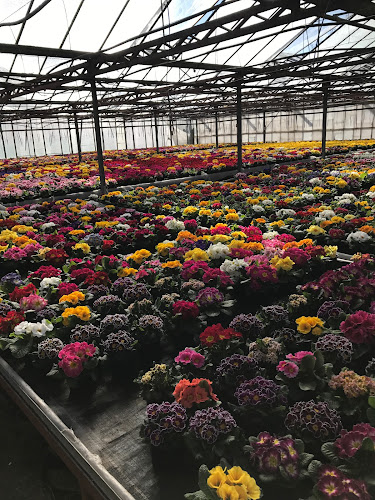 Nem Gond a kertészet - Kertészkedő