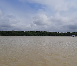 Circuito ola de agua photo