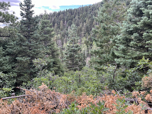 Bartlett Trail Trailhead parking area