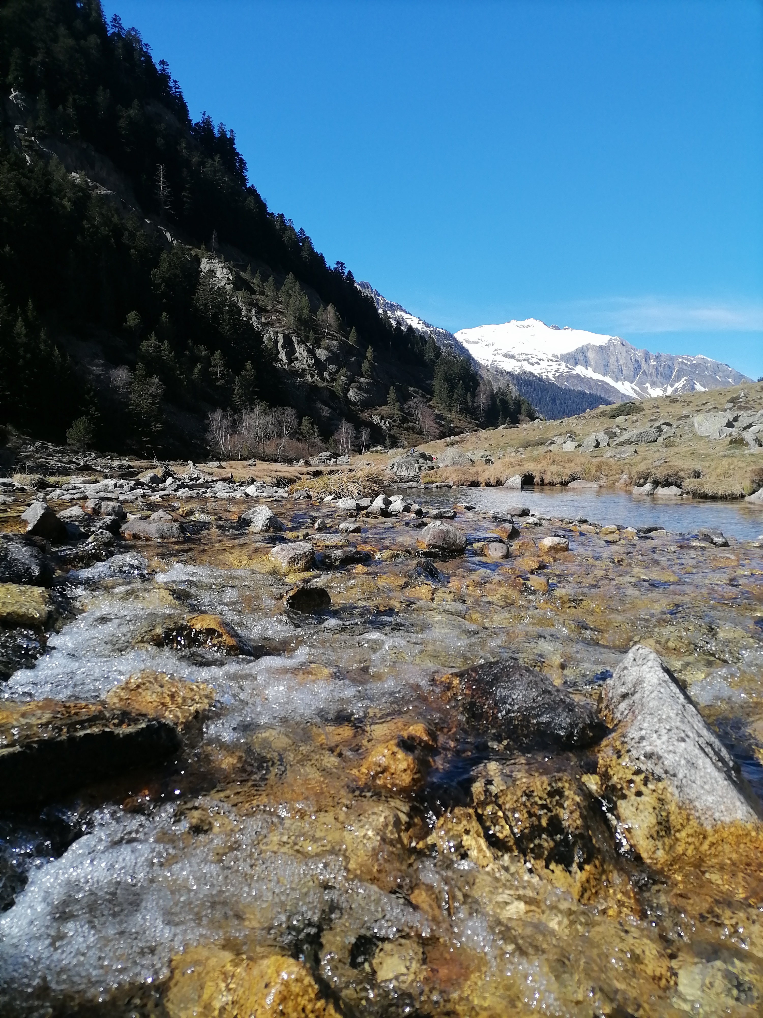 Photo n° 4 de l'avis de Borne.a fait le 31/03/2021 à 09:30