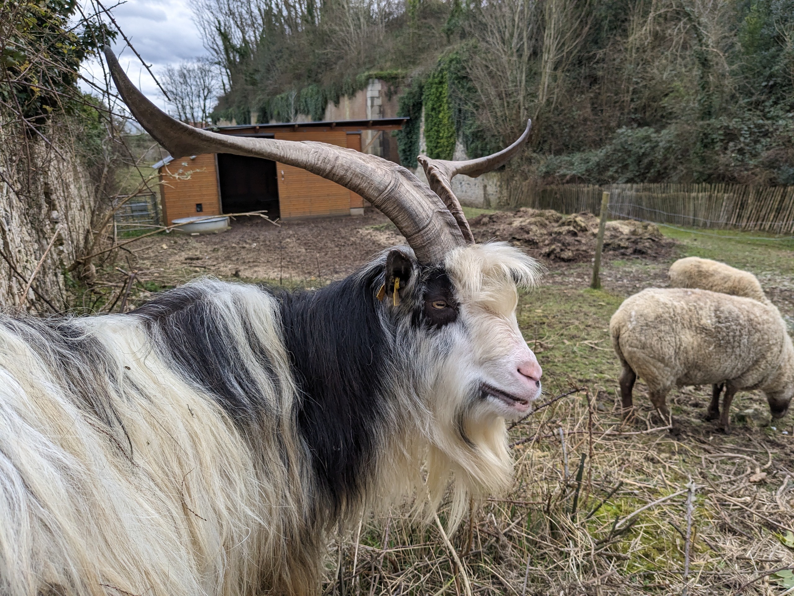 Photo n° 17 de l'avis de Mélanie.l fait le 10/03/2024 à 13:21