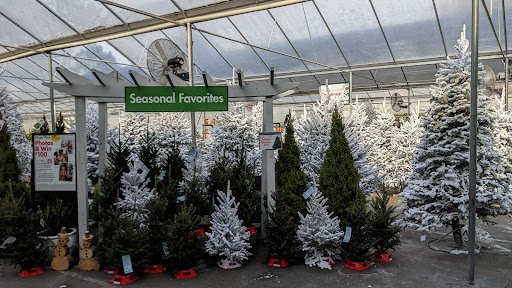 Garden Center «Pike Nurseries», reviews and photos, 6050 Bethelview Rd, Cumming, GA 30040, USA