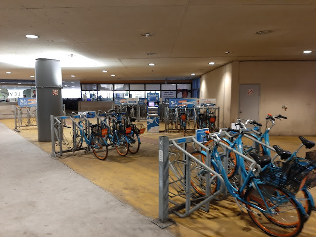 Blue-bike Antwerpen-Centraal