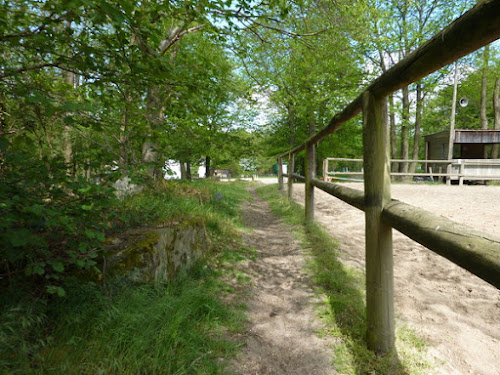 Club Hippique du Petit Tertre à Soisy-sur-École