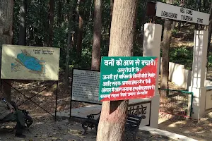 Lohachaur Tourism Zone,Corbett National Park,Durga Devi Gate. image