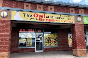 The Owl of Minerva image