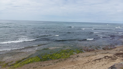 Location Brétignolles à Bretignolles-sur-Mer