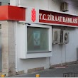 Ziraat Bankası Meydan-İskenderun/Hatay Şubesi