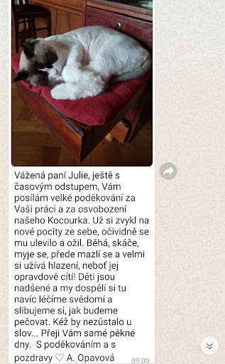 Stříhání psů a koček u klienta doma Praha - HappyRex.cz