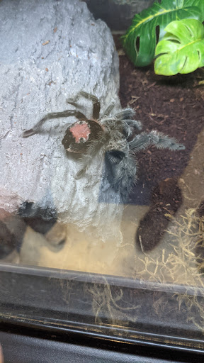 Pet Supply Store «Petco Animal Supplies», reviews and photos, 401 Sunrise Hwy, Patchogue, NY 11772, USA