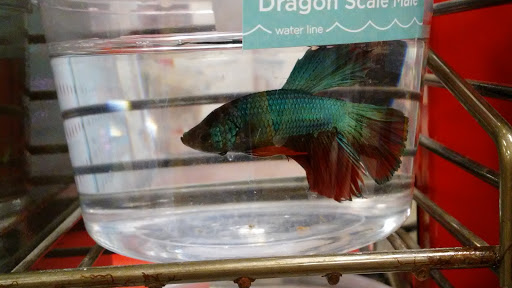 Pet Supply Store «Petco Animal Supplies», reviews and photos, 1951 N Military Trl c, West Palm Beach, FL 33409, USA