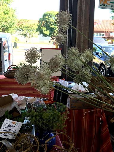 Gourmet Grocery Store «Fruit Center Marketplace», reviews and photos, 10 Bassett St, Milton, MA 02186, USA