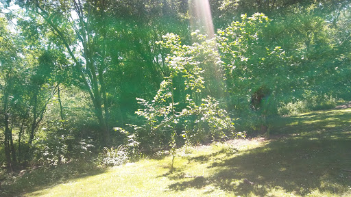 Park «A.M. Kennedy Park», reviews and photos, 10200 SW Kennedy St, Beaverton, OR 97005, USA