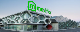 Moviflor Aveiro