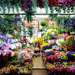 Photo n°2 de l'avis de Diane.i fait le 02/02/2020 à 09:20 sur le  Ristorante La Caravella à Ventimiglia