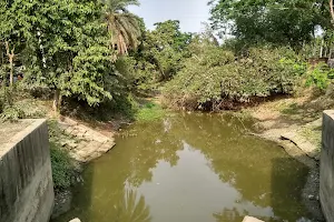 সুবর্ণখালী, স্লুইসগেট image