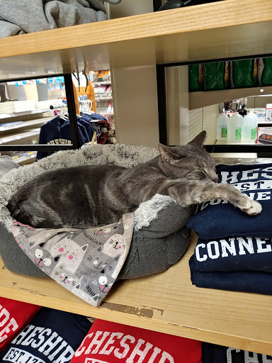 Hardware Store «R W Hine Ace Hardware», reviews and photos, 231 Maple Ave, Cheshire, CT 06410, USA