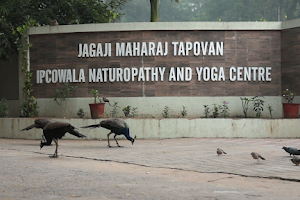 Ipcowala Naturopathy & Yoga Centre image