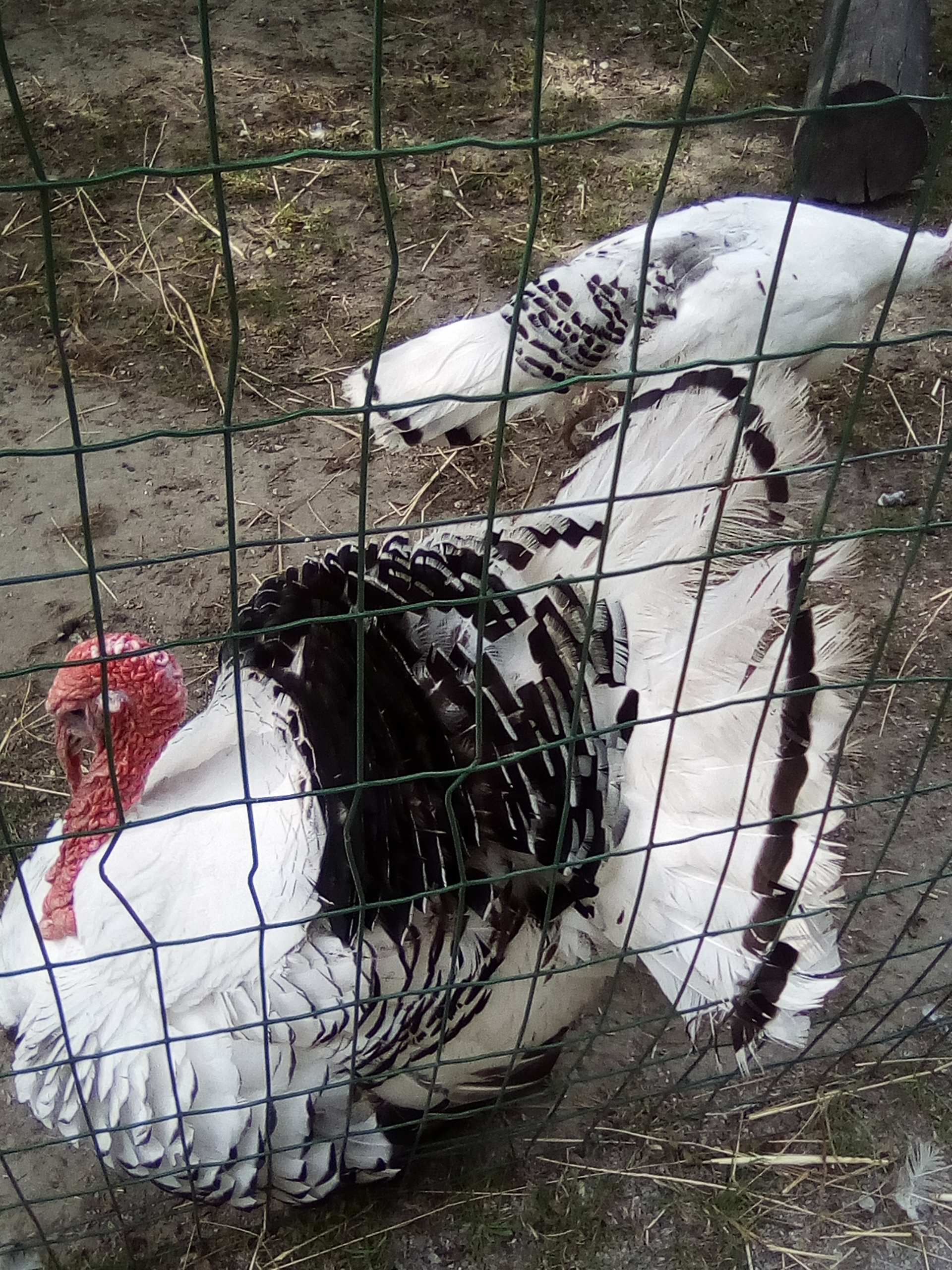 Photo n° 2 de l'avis de corinne.e fait le 05/08/2019 à 13:05