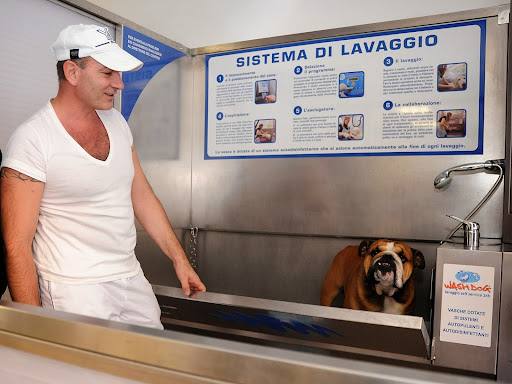 lavaggio cani self-service e toeletta professionale roma