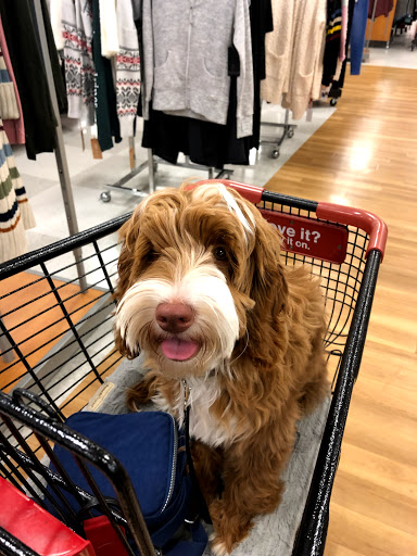 Department Store «T.J. Maxx», reviews and photos, 320 Robert Smalls Pkwy b, Beaufort, SC 29906, USA