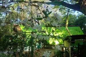 ANGAMTREE WELLNESS HUT image