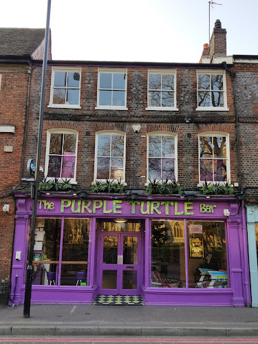 The Purple Turtle - Reading