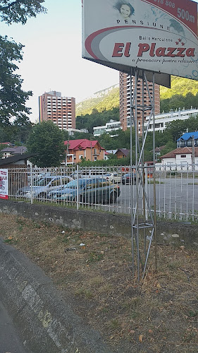 Strada Castanilor, Băile Herculane 325200, România