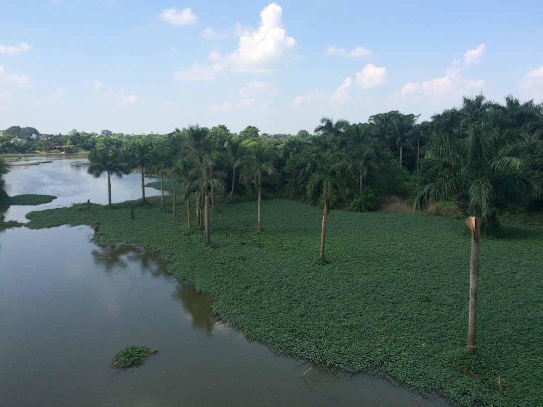 Tẩm Quất Người Mù Phương Đông