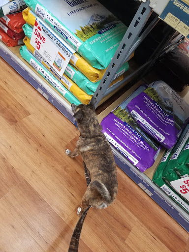 Pet Supply Store «Pet Supermarket», reviews and photos, 5000 Clyde Morris Blvd, Port Orange, FL 32127, USA