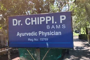 Dr. Chippi, Ayurveda Physician image