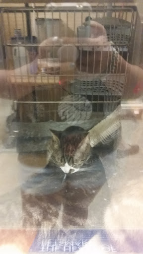 Pet Supply Store «PetSmart», reviews and photos, 12483 Limonite Ave, Mira Loma, CA 91752, USA