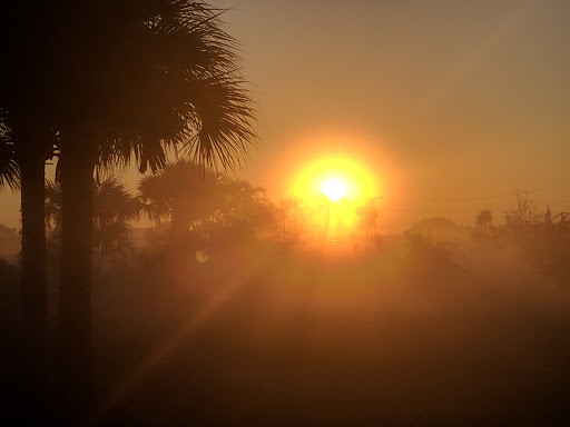 Park «Mangurian Park», reviews and photos, 3850 N Federal Hwy, Fort Lauderdale, FL 33308, USA