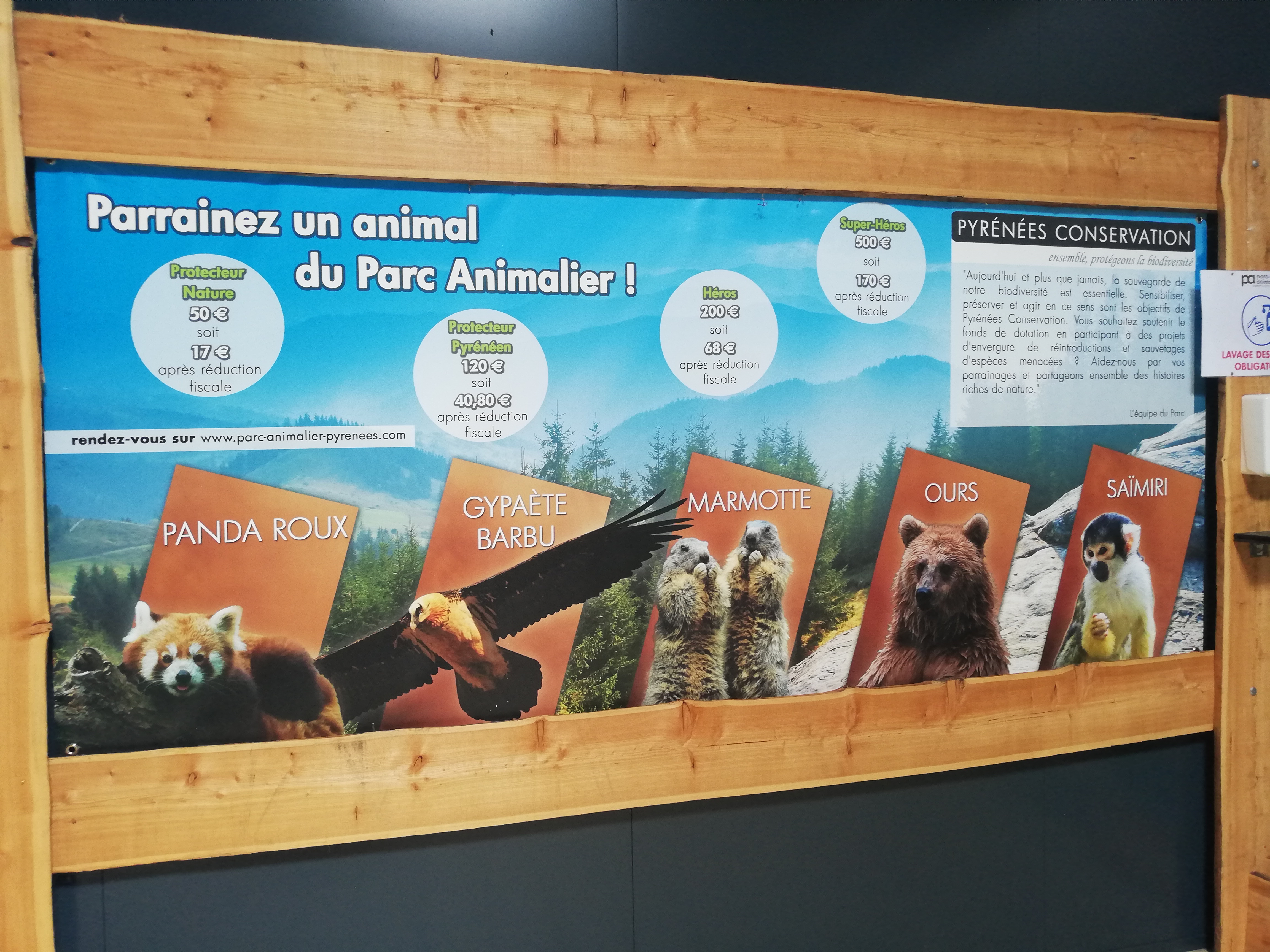 Photo n° 1 de l'avis de Soleil. fait le 20/08/2020 à 12:36