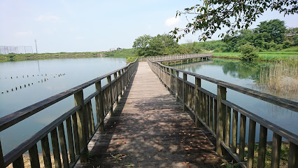 中島池