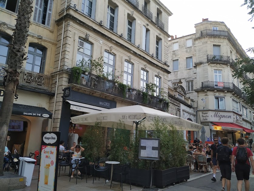 Mignon à Montpellier