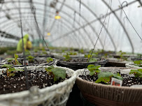 Barry's Greenhouses and Landscaping - Photo 2 - Car repair in North Muskegon, MI, Muskegon