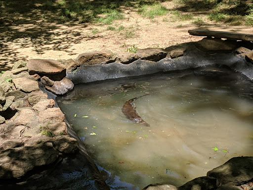 Non-Profit Organization «Dauset Trails Nature Center», reviews and photos, 360 Mt Vernon Church Rd, Jackson, GA 30233, USA