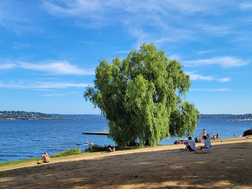 Park «Madrona Park», reviews and photos, 853 Lake Washington Blvd, Seattle, WA 98122, USA