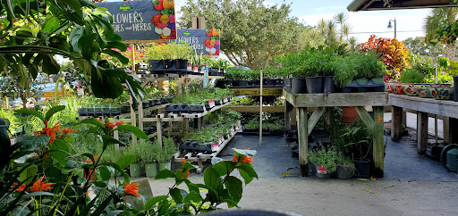 Produce Market «Nelson Family Farms», reviews and photos, 875 W Midway Rd, Fort Pierce, FL 34982, USA