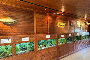 Cold Spring Harbor Fish Hatchery & Aquarium image