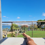 Photo n°3 de l'avis de Ric.D fait le 07/09/2022 à 12:22 sur le  Quinta do Tagus à Almada