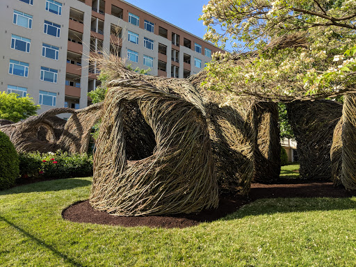 Park «Lytle Park», reviews and photos, 501 E 4th St, Cincinnati, OH 45202, USA