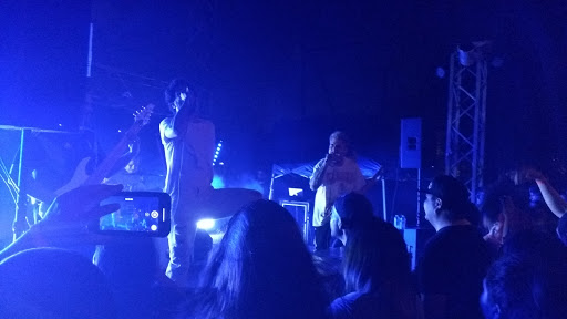 Live Music Venue «Yerberia Cultura», reviews and photos, 613 S 17th St, McAllen, TX 78501, USA